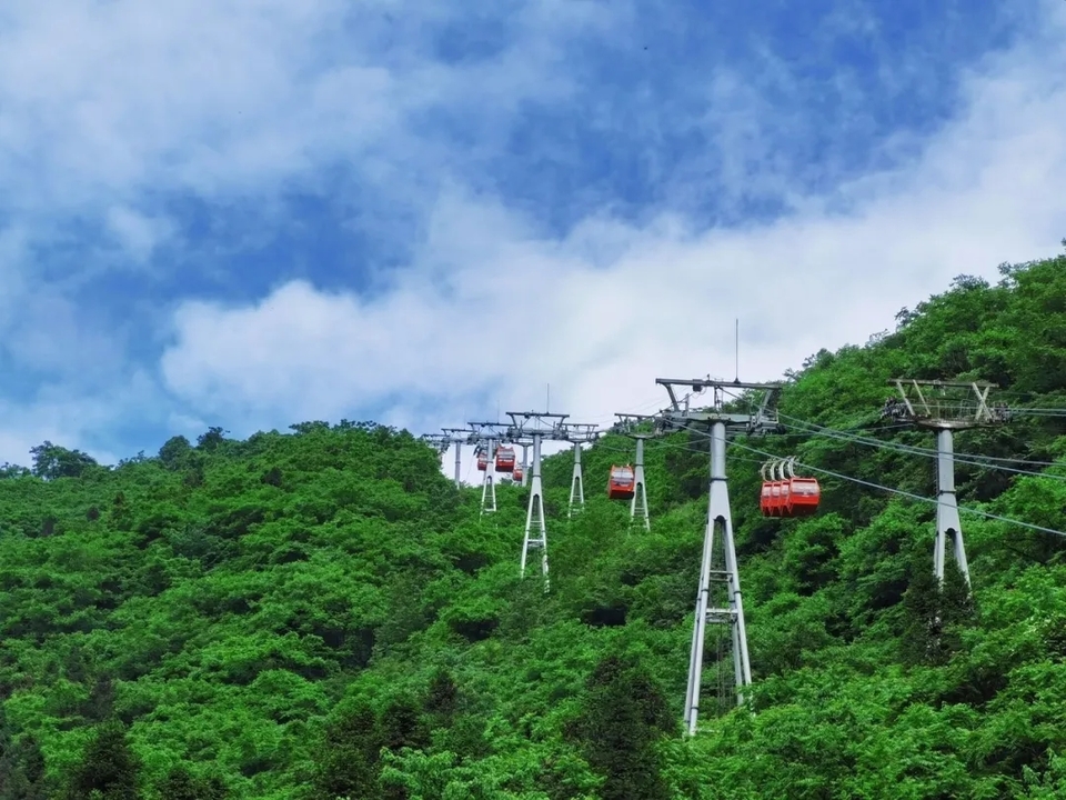 微信图片_20200618184037