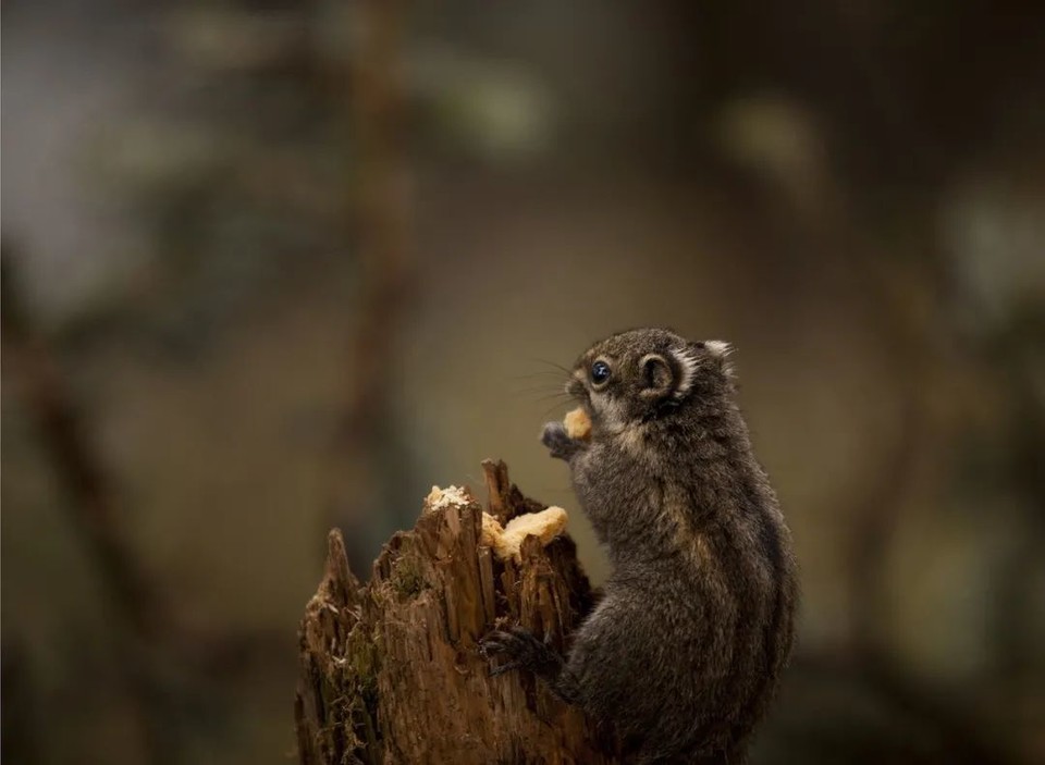 微信图片_20200618184047