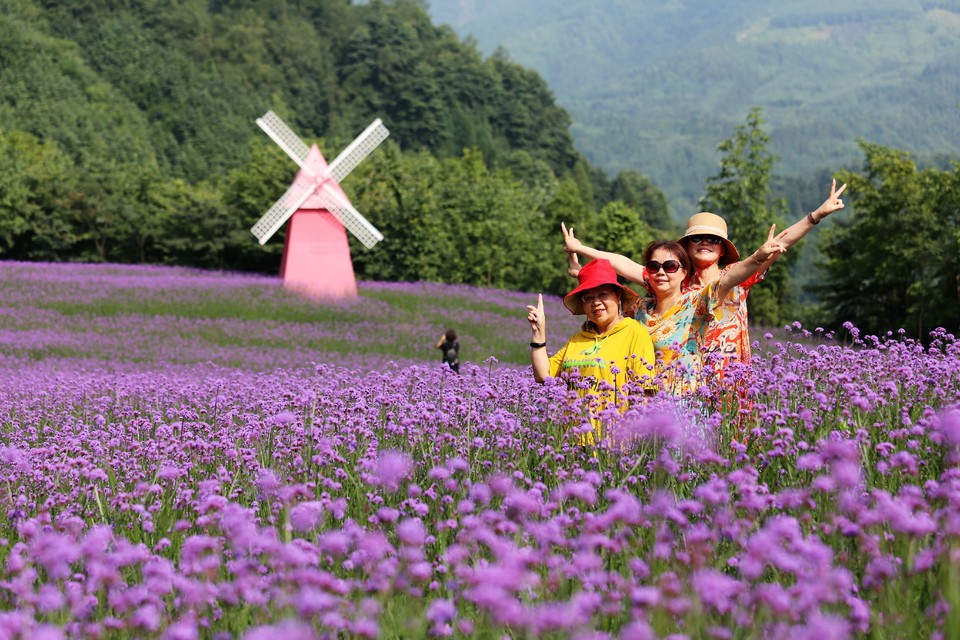 微信图片_20200708224021