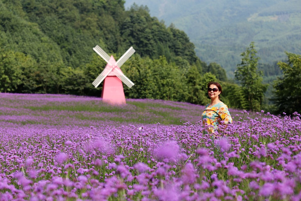 微信图片_20200708224039