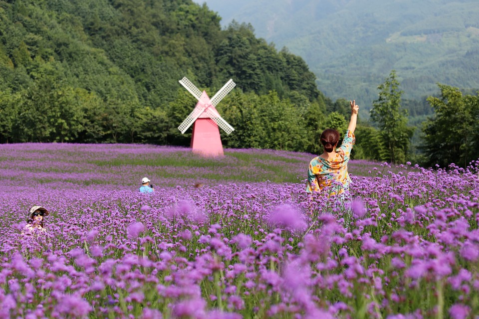 微信图片_20200708224057