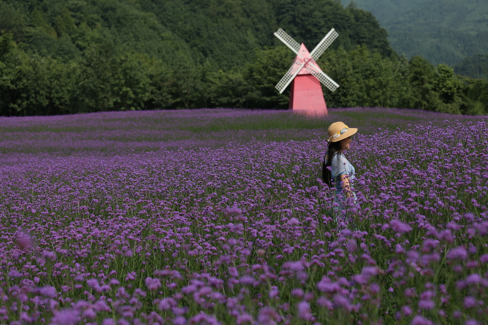 微信图片_20200708224124