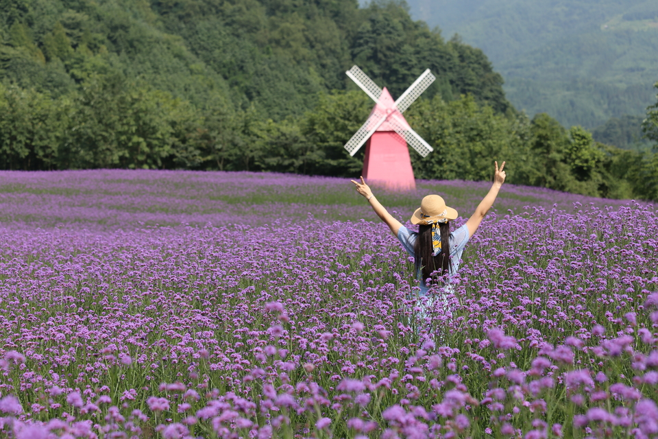 微信图片_20200708224135