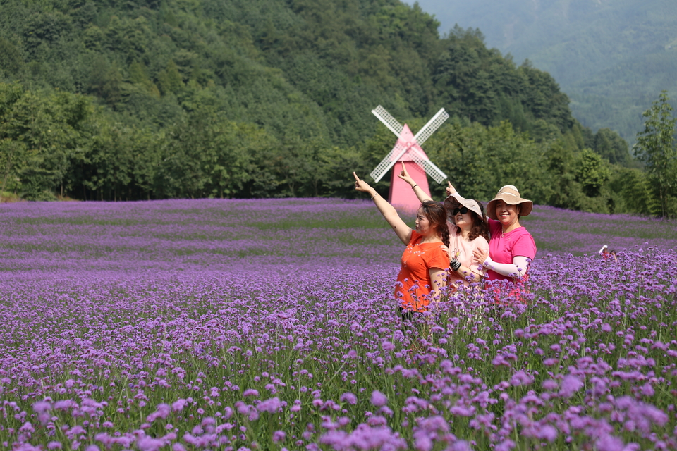 微信图片_20200708224318