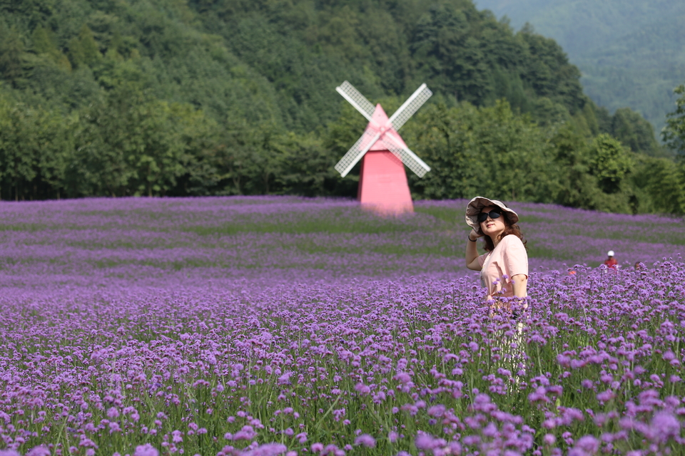 微信图片_20200708224334