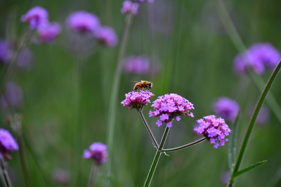 微信图片_20200708224719