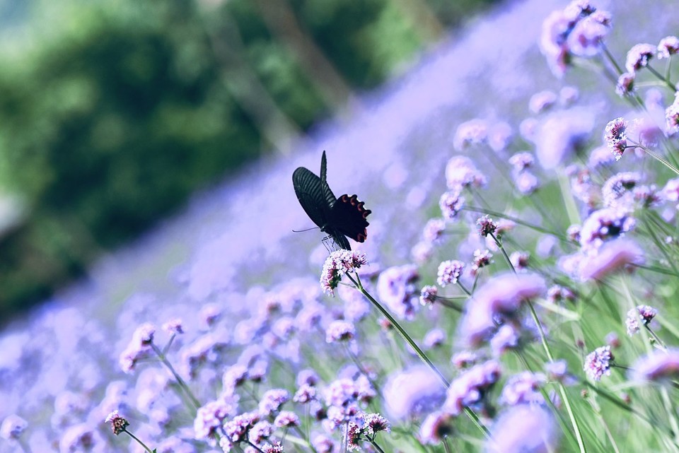 微信图片_20200708224724