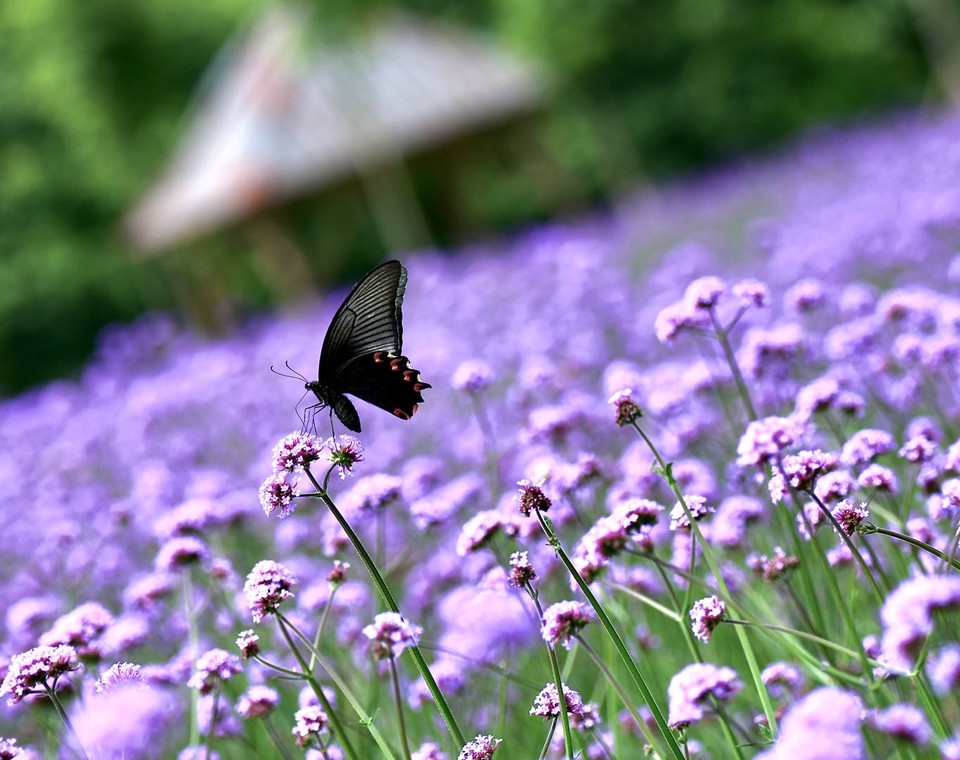 微信图片_20200708224728