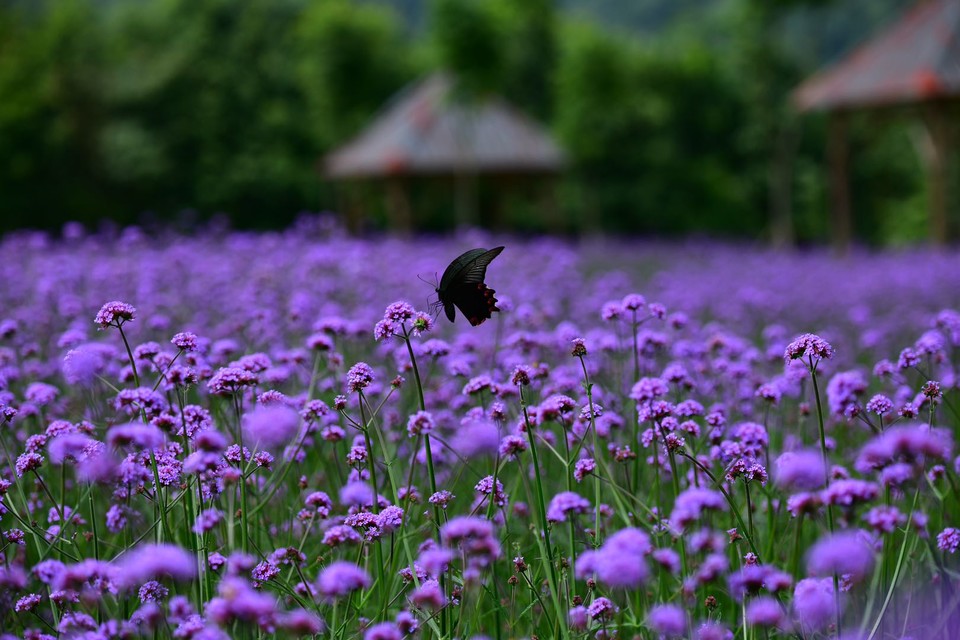 微信图片_20200708224733