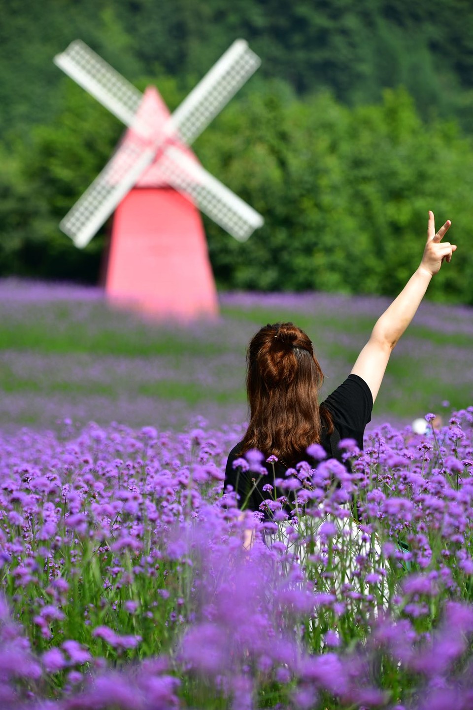 微信图片_20200708224743