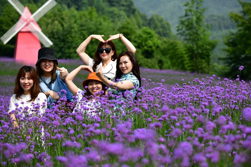 微信图片_20200708224954