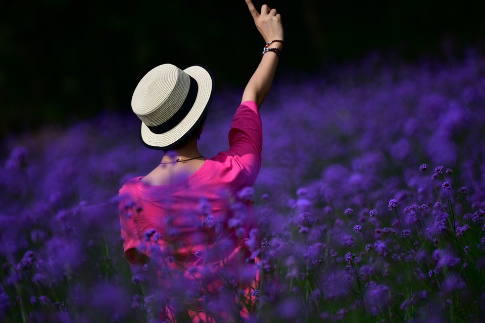 微信图片_20200708225141