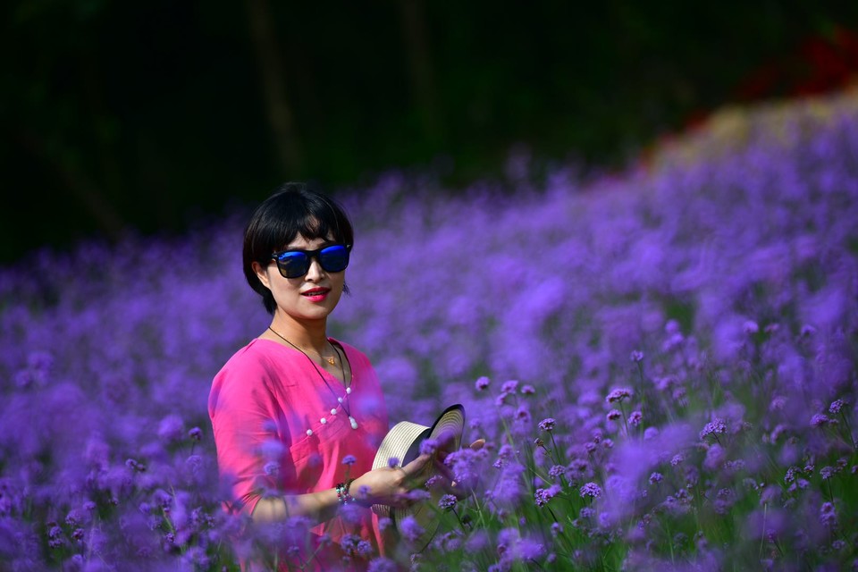 微信图片_20200708225147