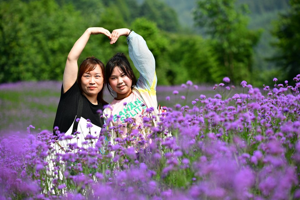 微信图片_20200708225202