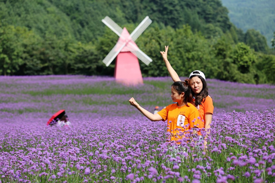 微信图片_20200708225250