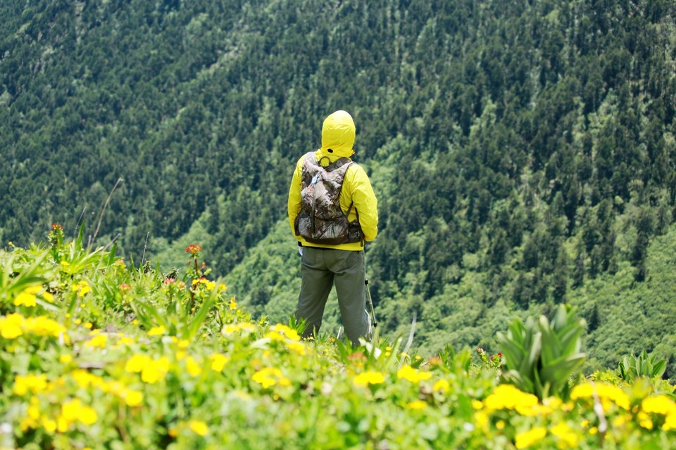 mmexport1623629472046