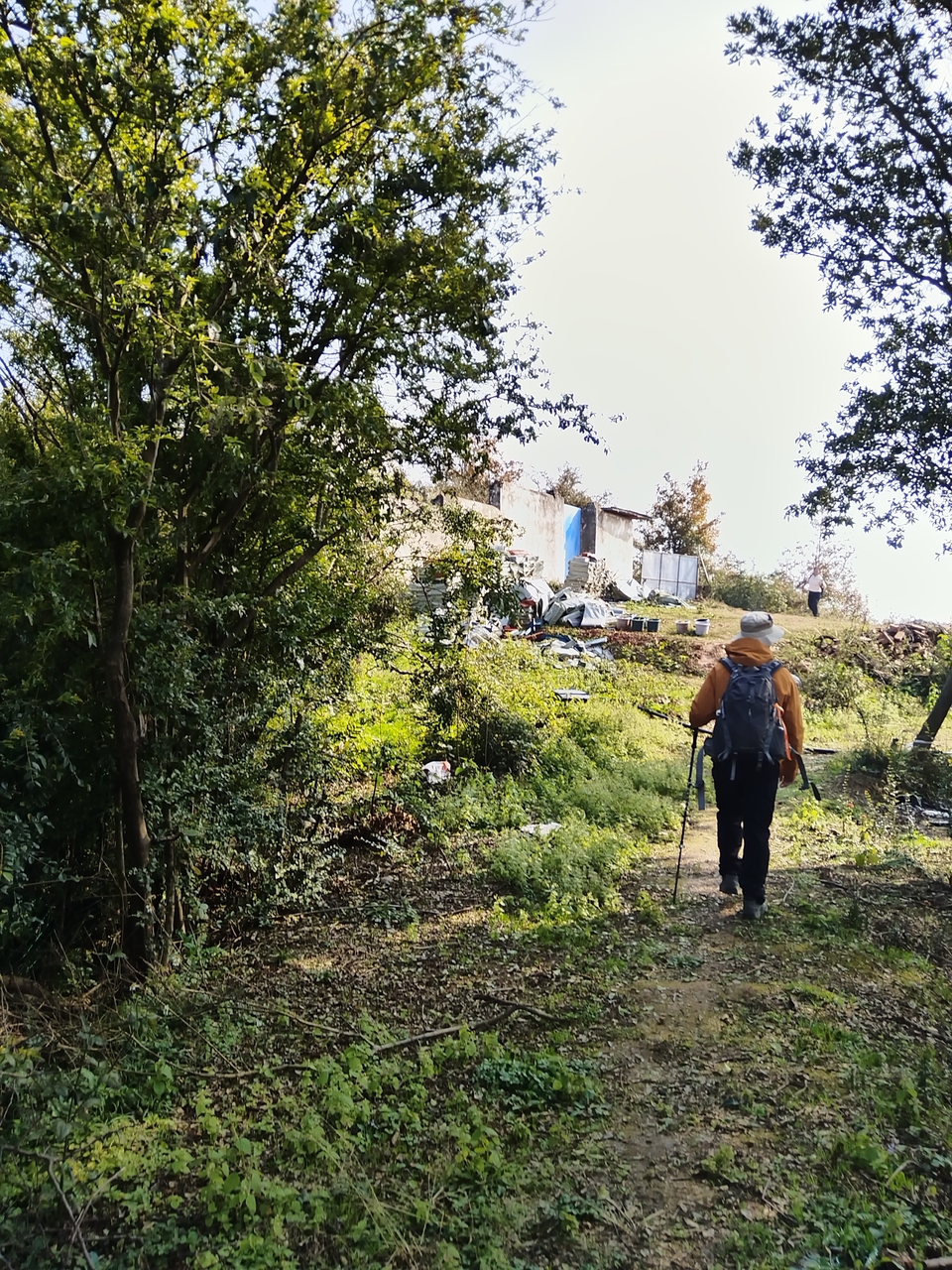 微信图片_20241224215746