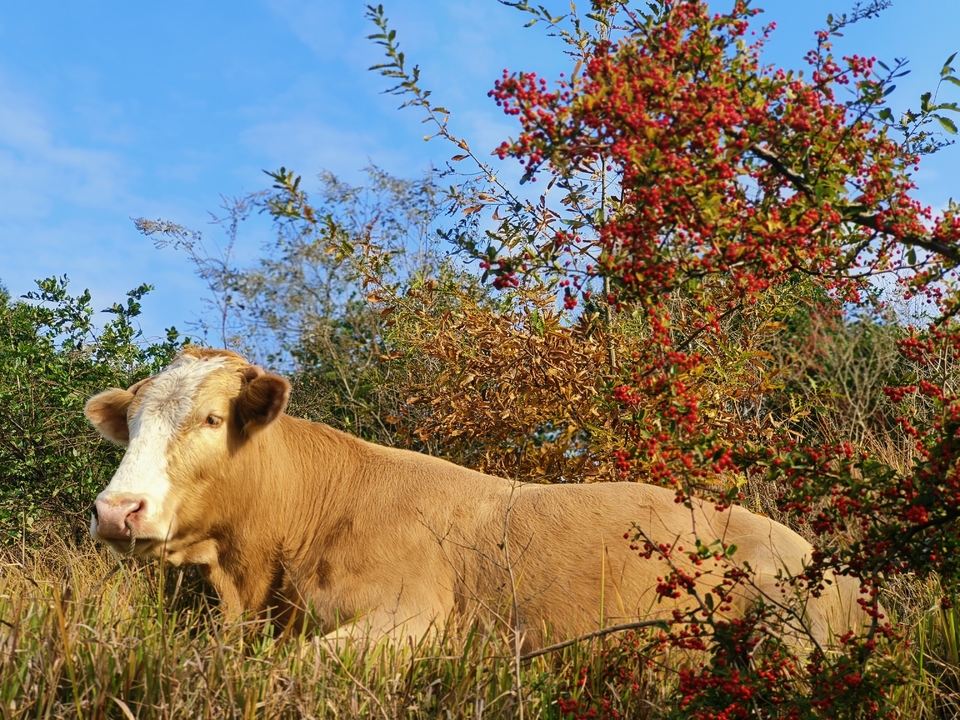 微信图片_20241224215847