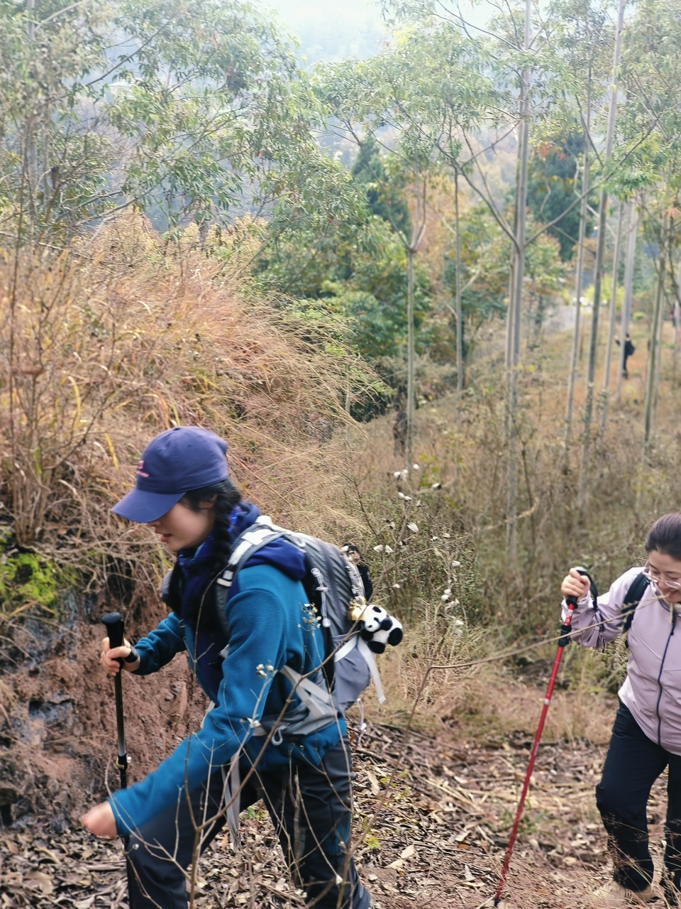 微信图片_20241225145113