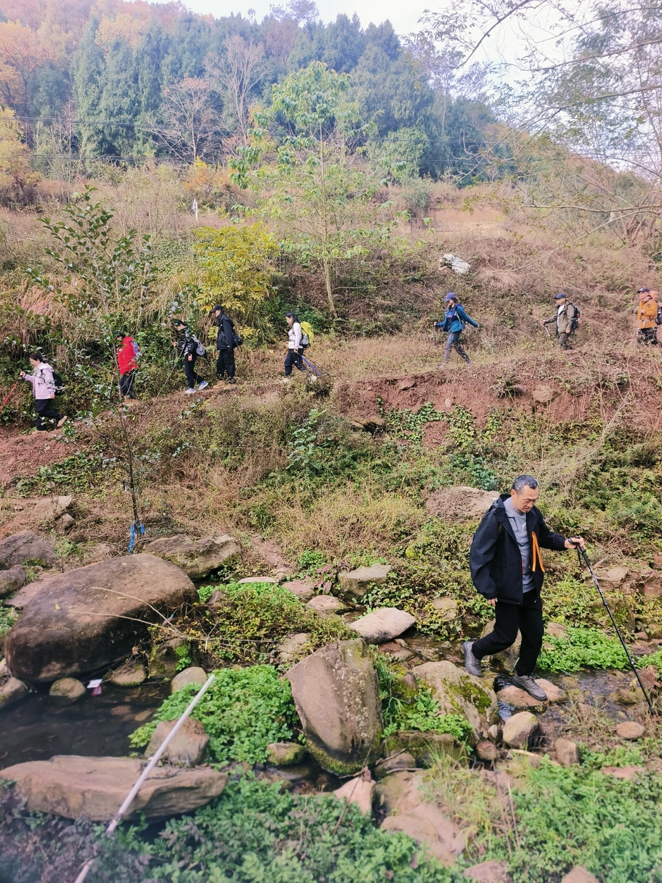 微信图片_20241225145128