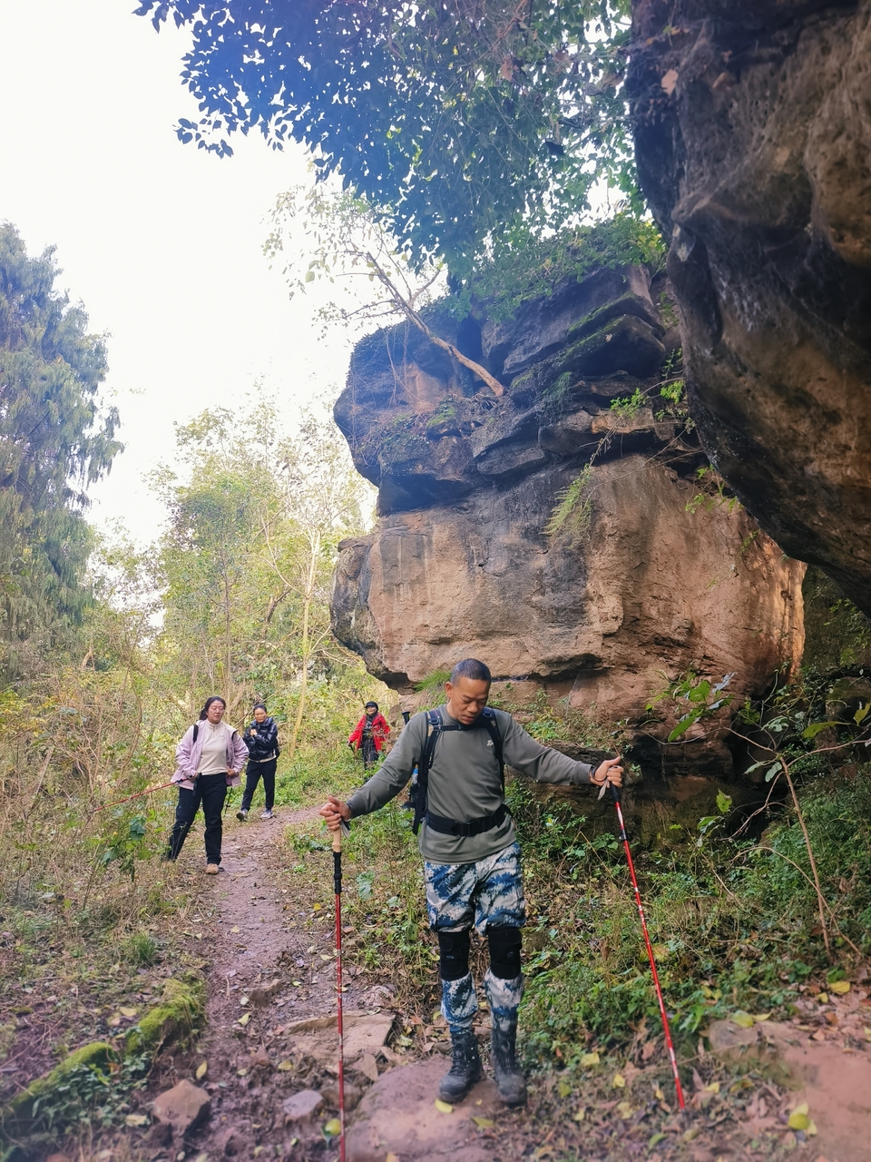 微信图片_20241225145145