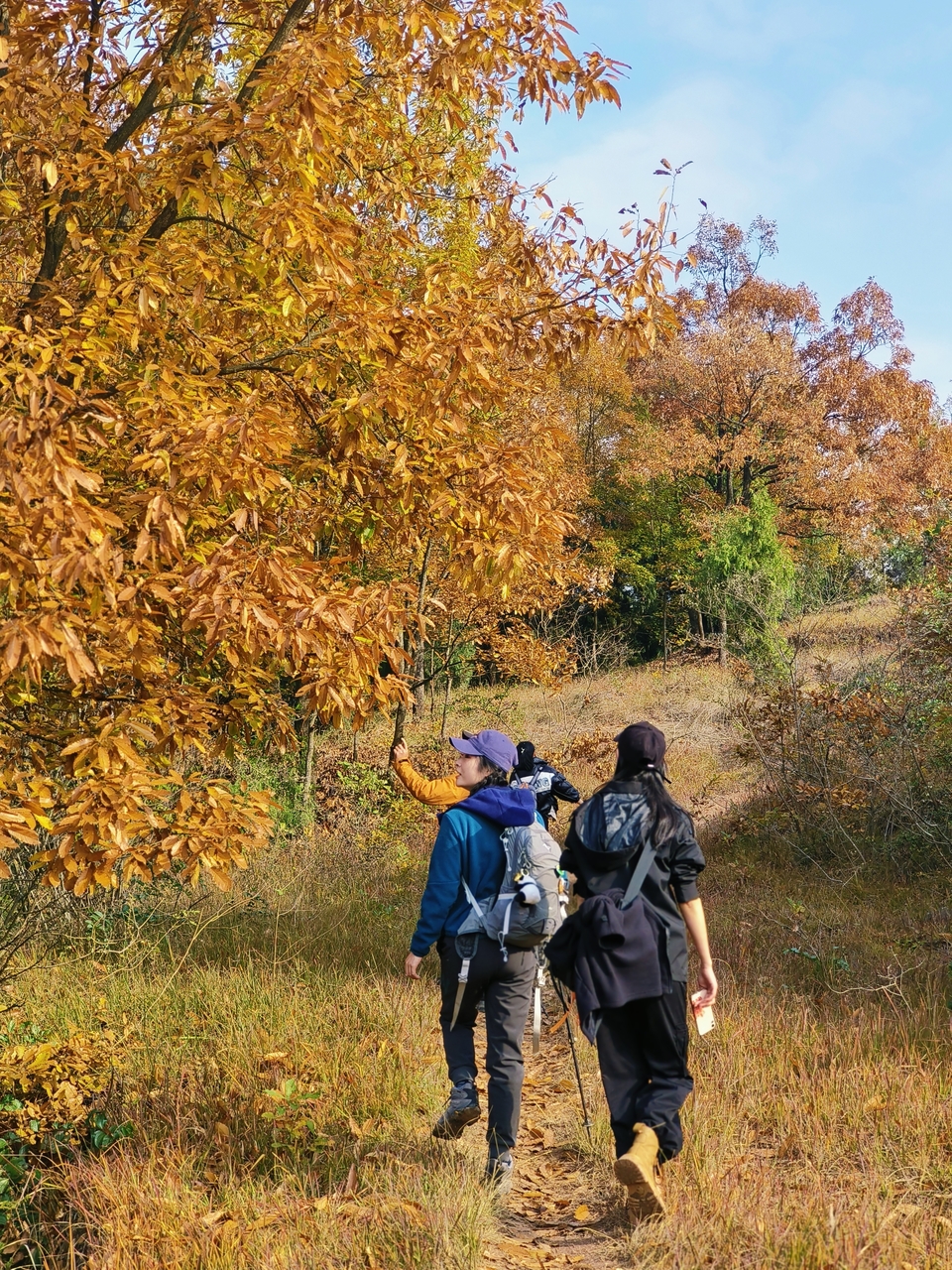 微信图片_20241225145229