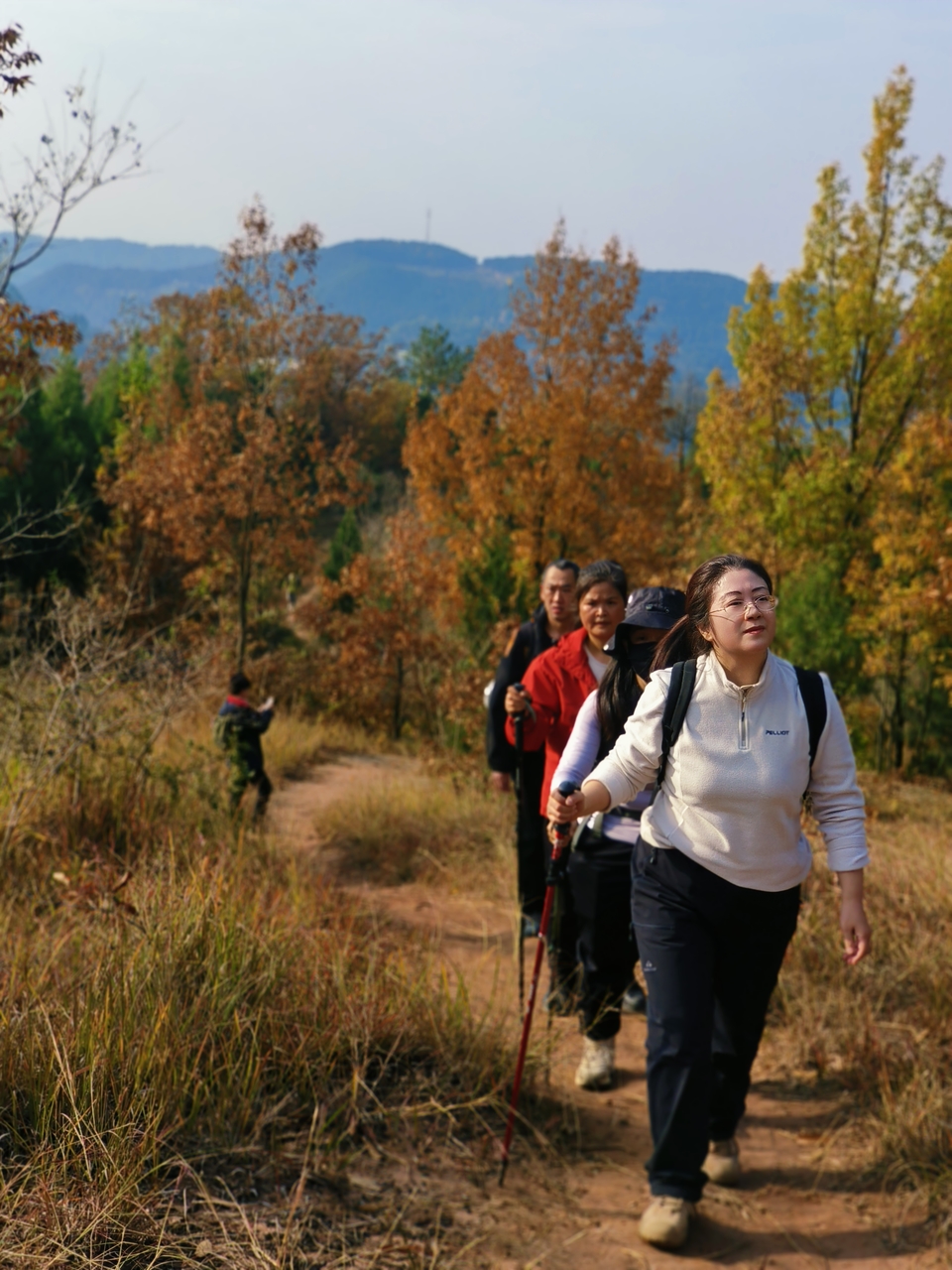 微信图片_20241225145255