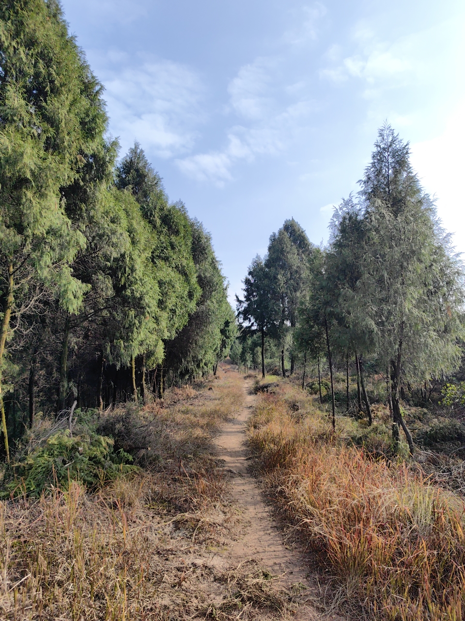 微信图片_20241225145411