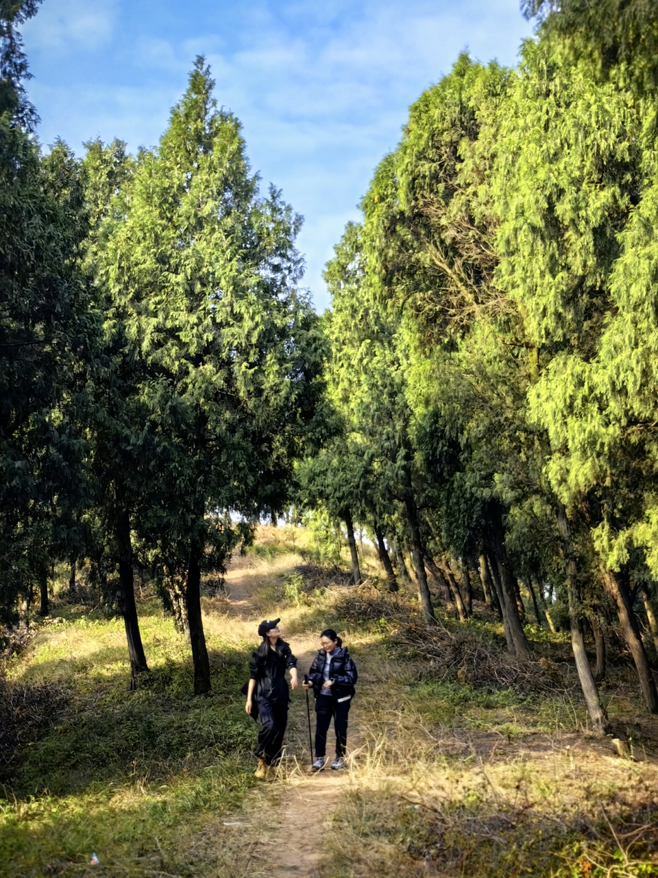 微信图片_20241225145426