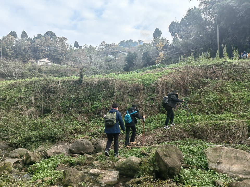 微信图片_20241225145618