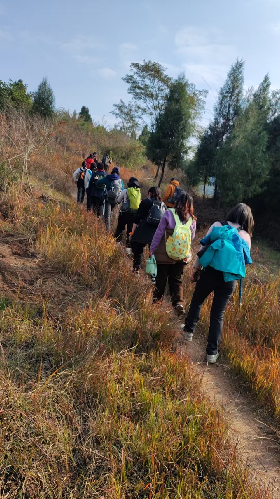 微信图片_20241225145746