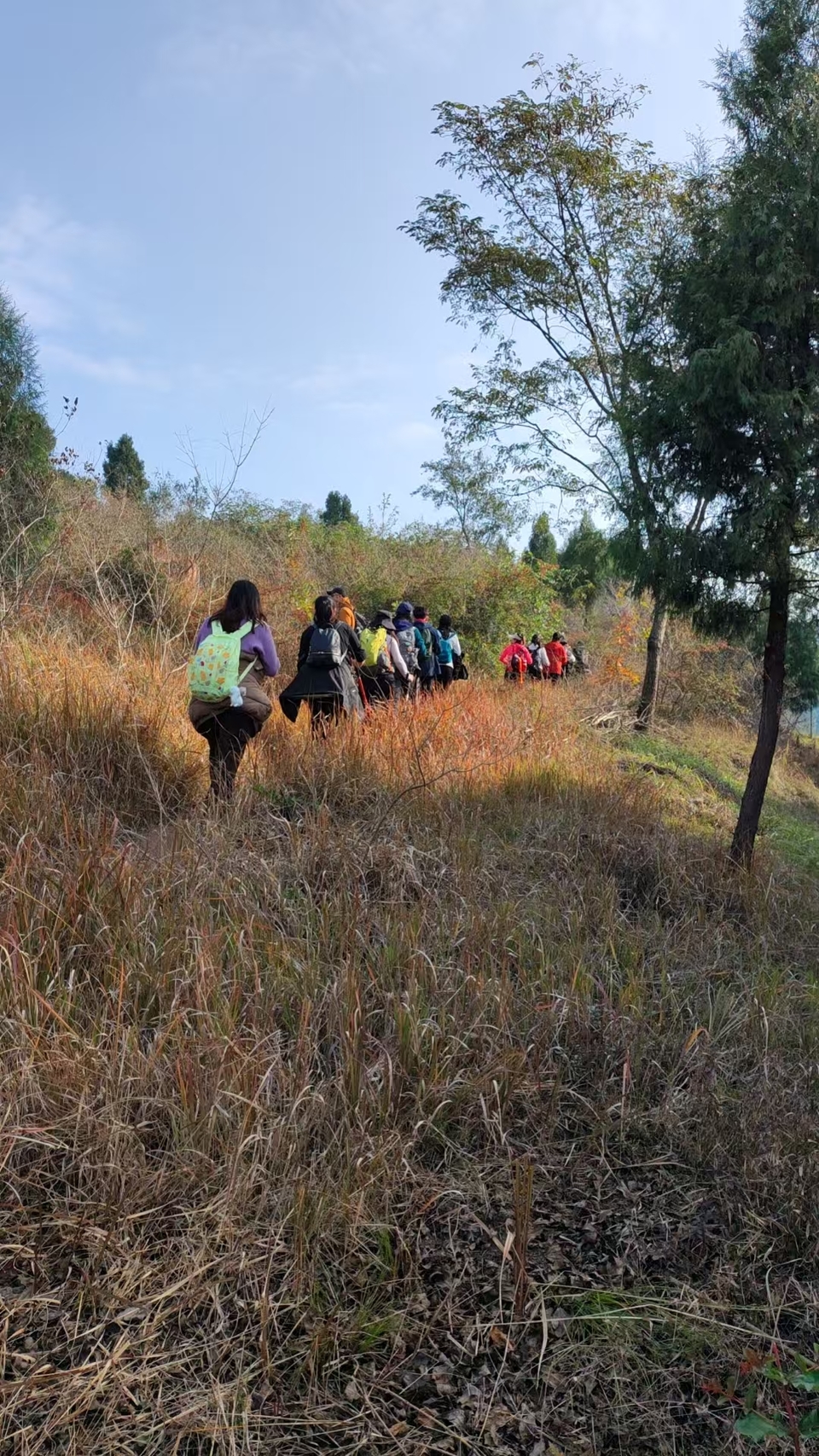 微信图片_20241225145751