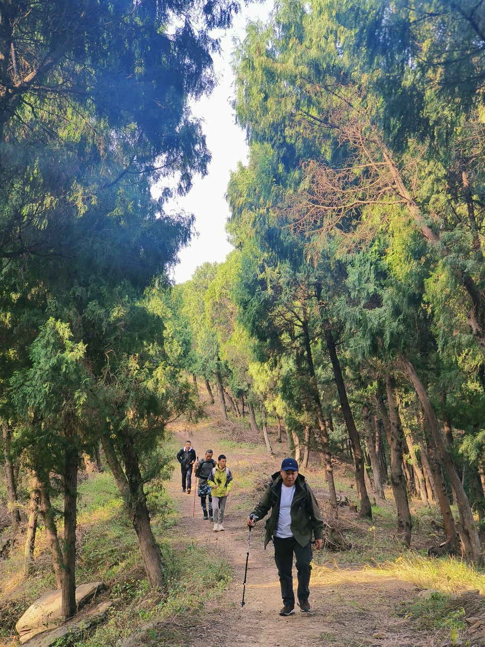 微信图片_20241225145823