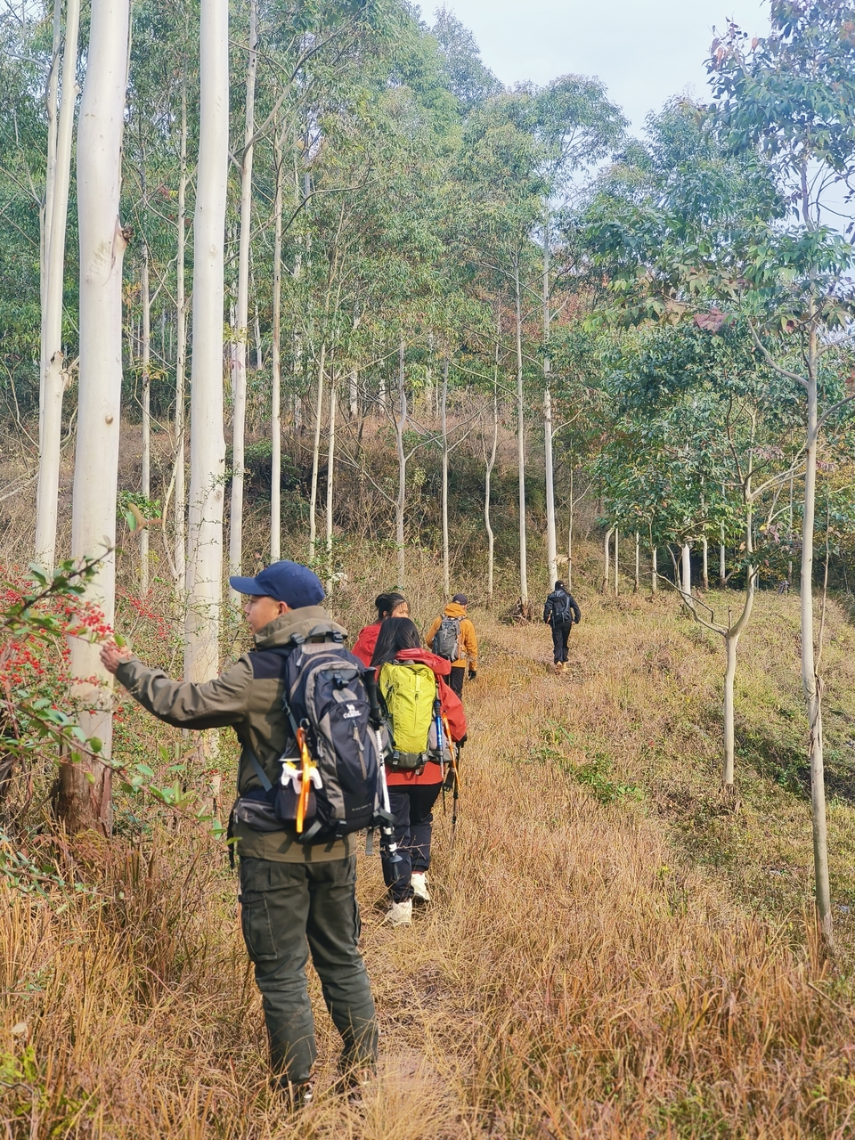 微信图片_20241225145031 - 副本