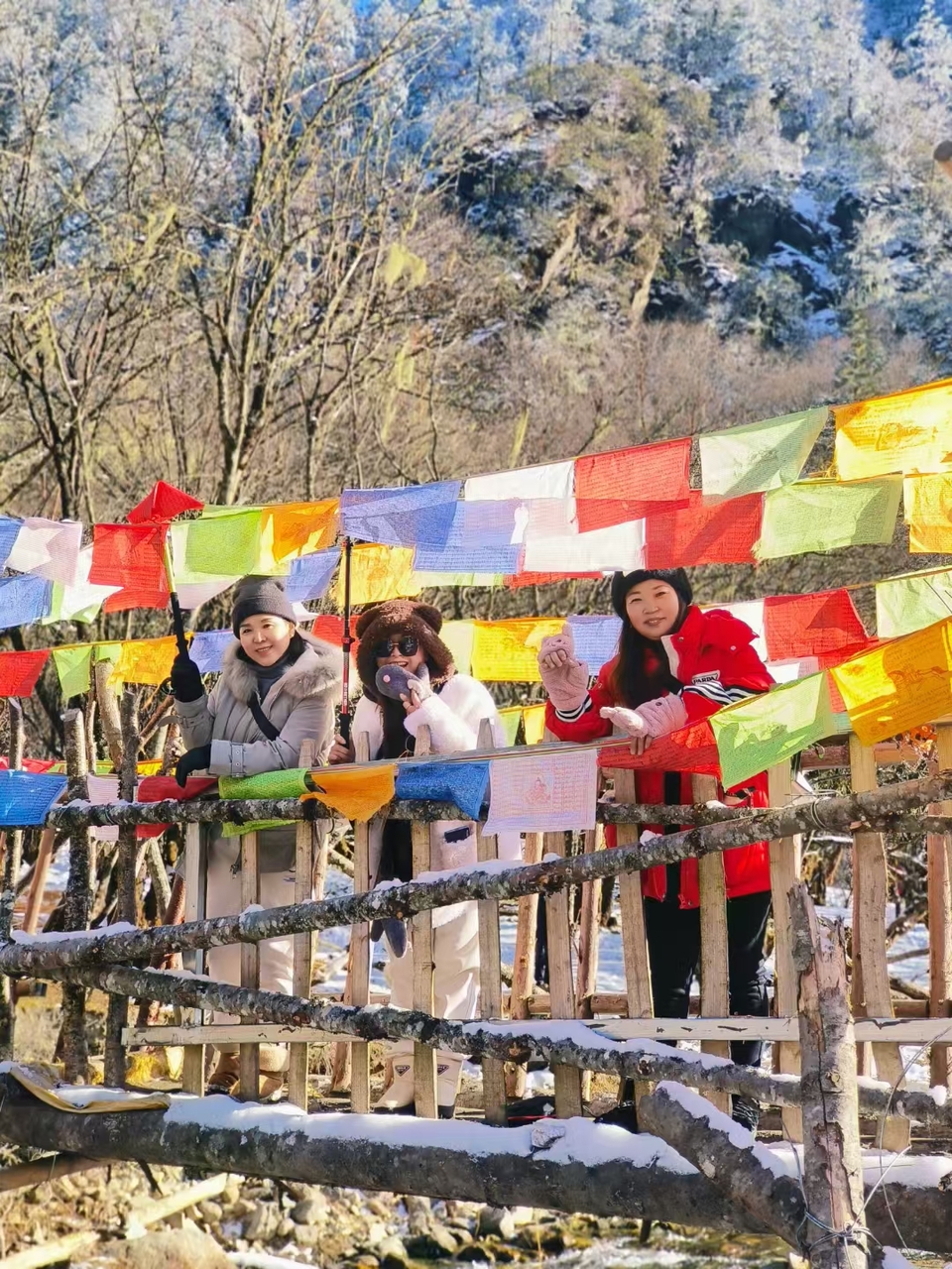 微信图片_20241225153608