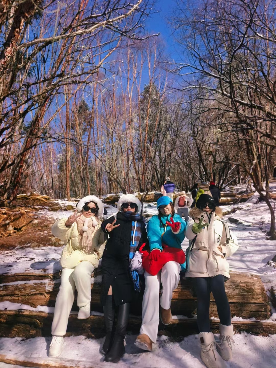 微信图片_20241225153616