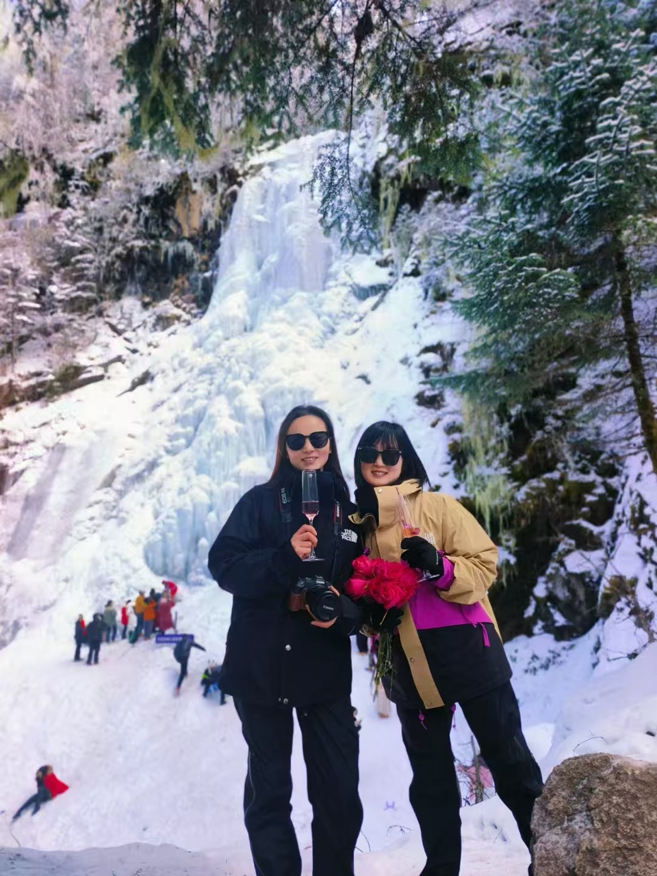 微信图片_20241225153641