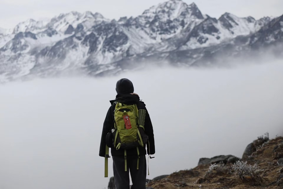 微信图片_20241225155521