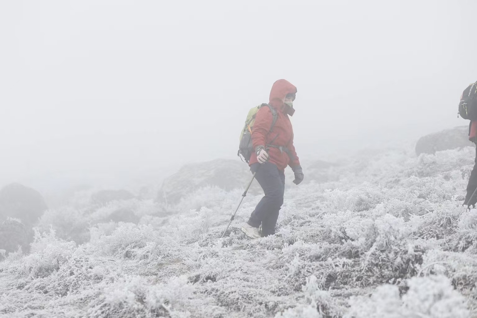 微信图片_20241225155530