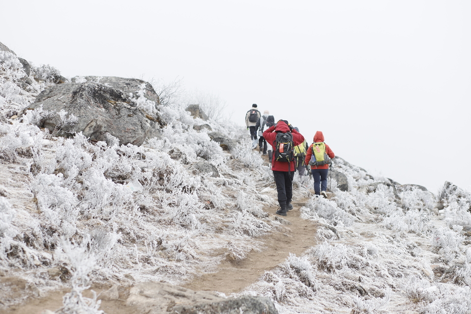 微信图片_20241225155539