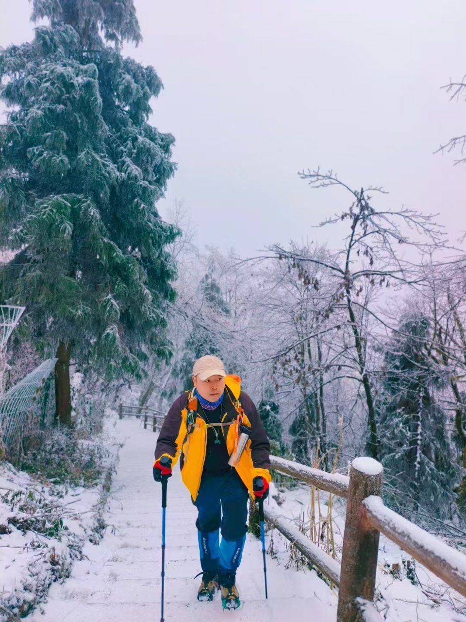 微信图片_20241225153409