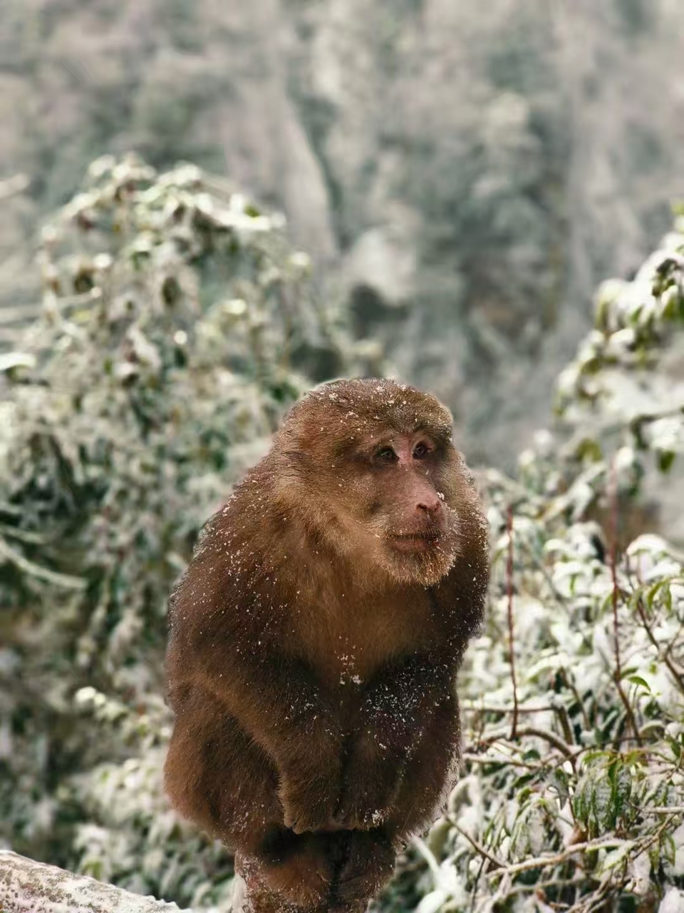 微信图片_20241225153509