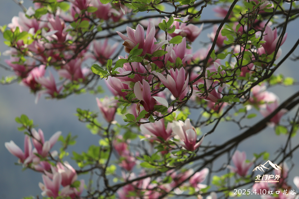 微信图片_20250410203350