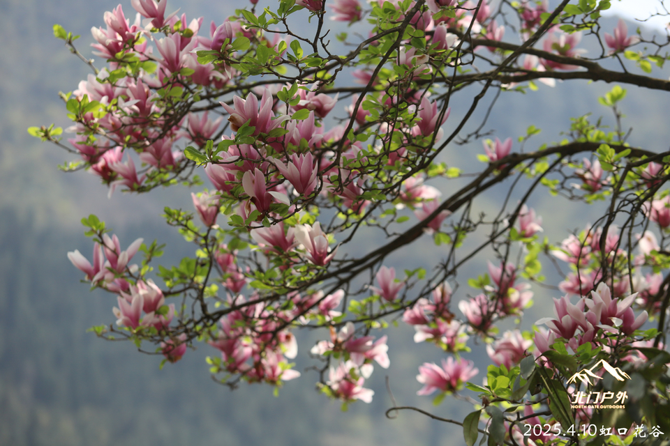 微信图片_20250410203407