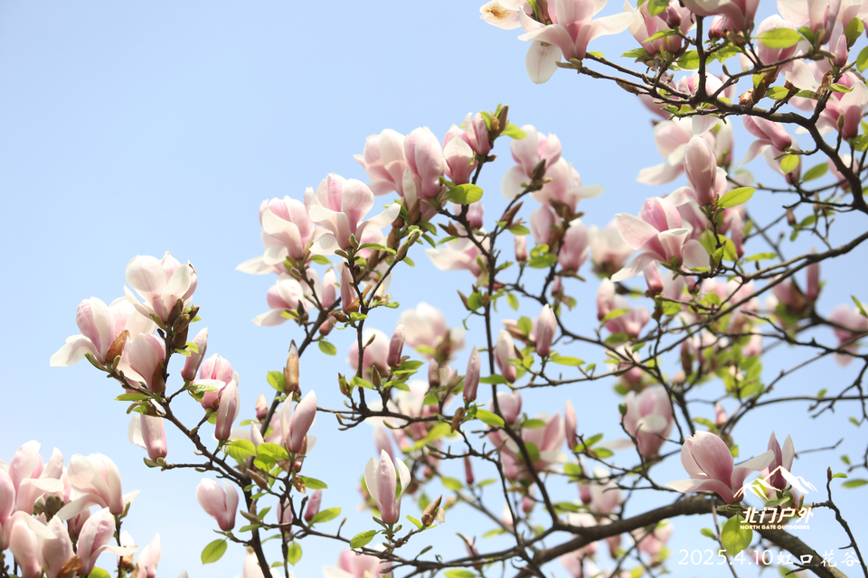 微信图片_20250410203420