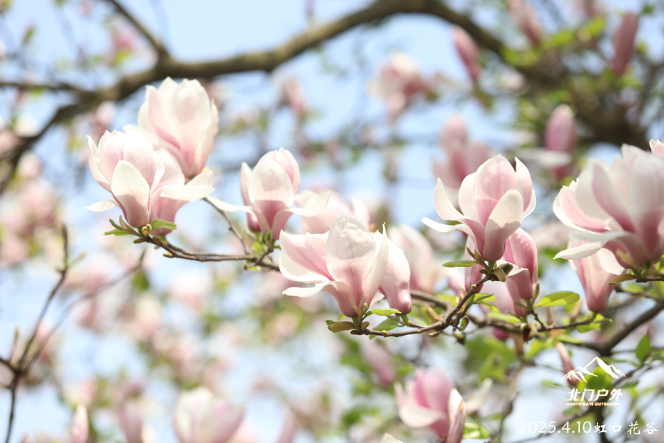 微信图片_20250410203428