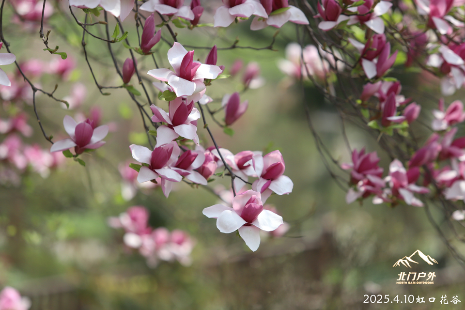 微信图片_20250410203437