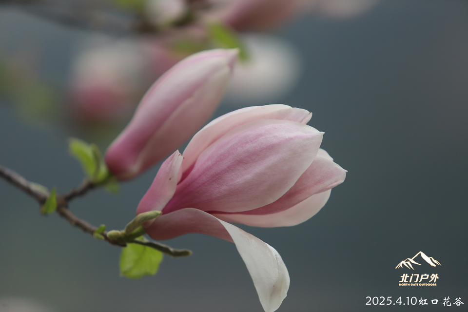 微信图片_20250410203444