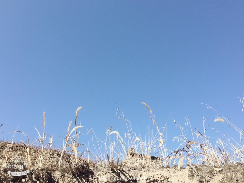 5D7F9636-823E-4D50-AD82-7416282A8362