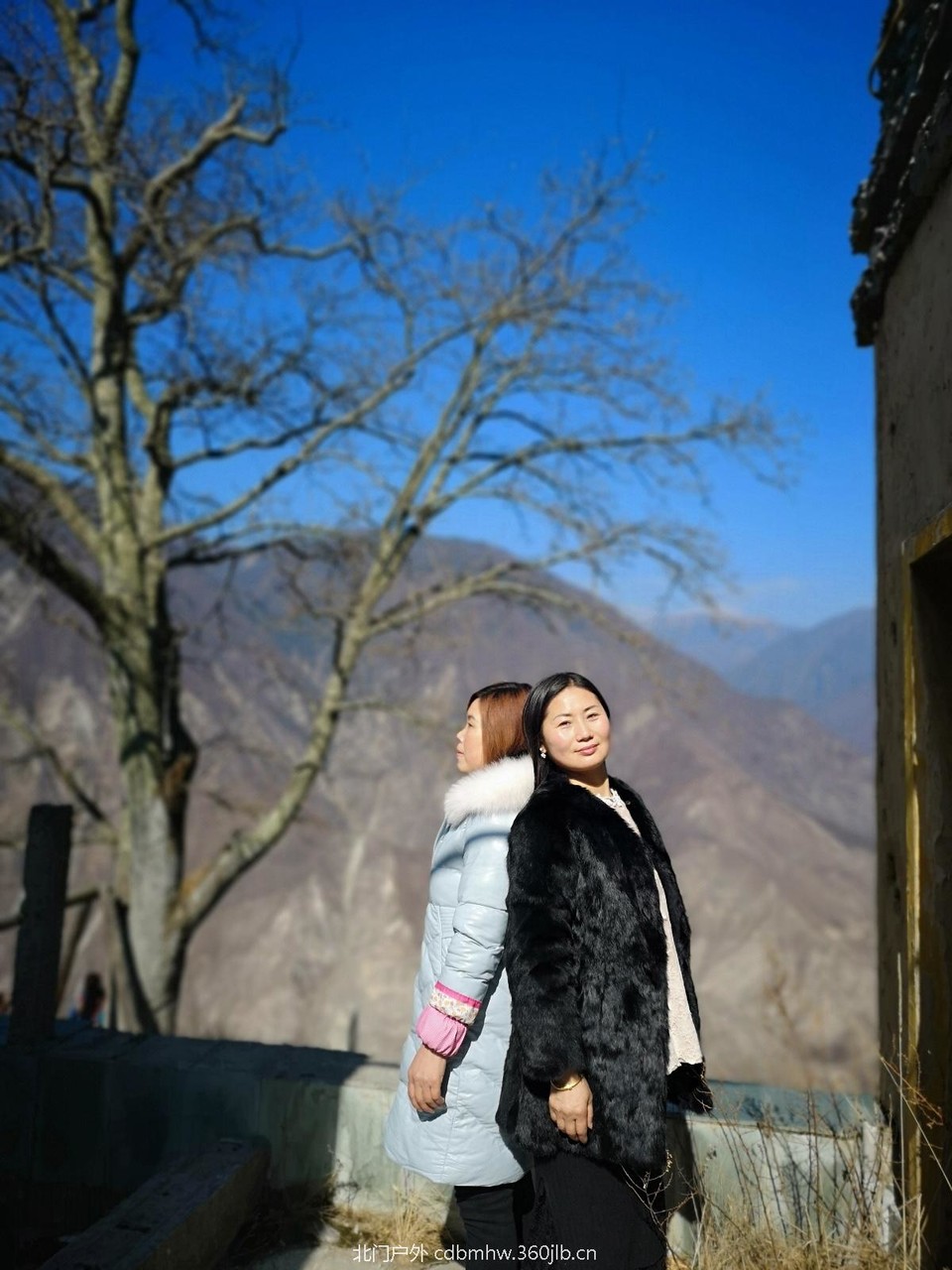 33C38E1E-51C3-4EF7-963B-945E02B8B958